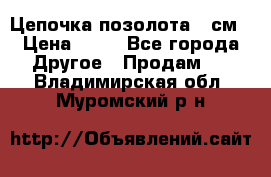 Цепочка позолота 50см › Цена ­ 50 - Все города Другое » Продам   . Владимирская обл.,Муромский р-н